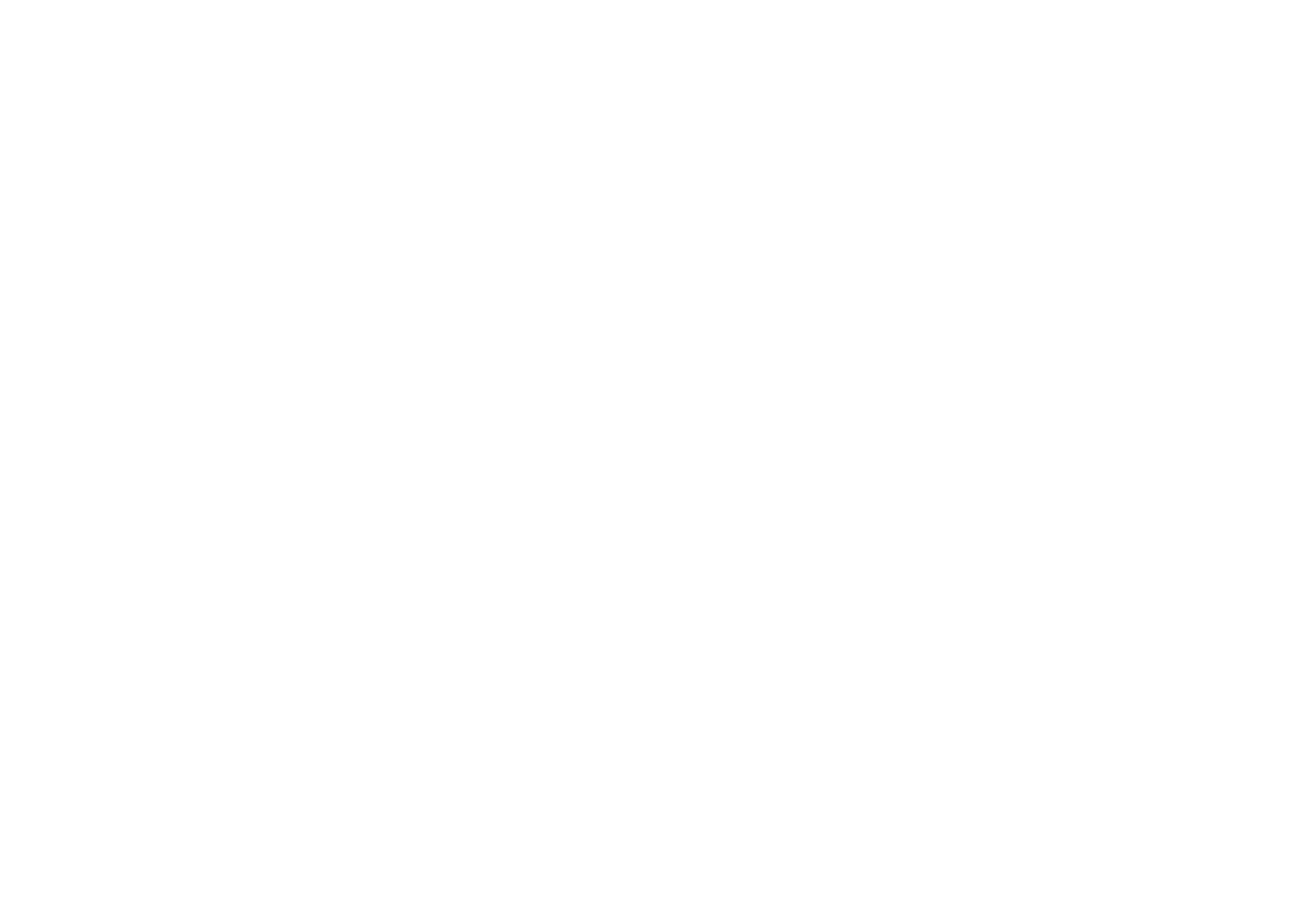 What the Falafel